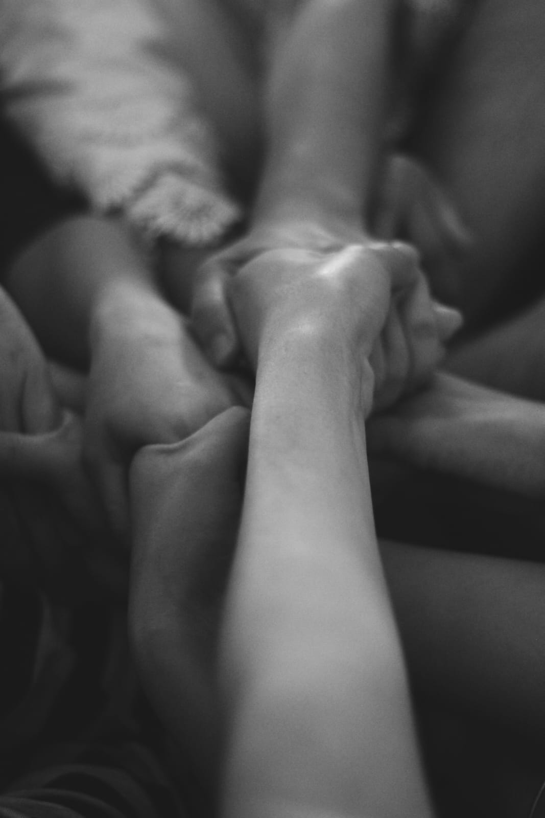 Mani di un gruppo intrecciate insieme durante un percorso CreArmonia